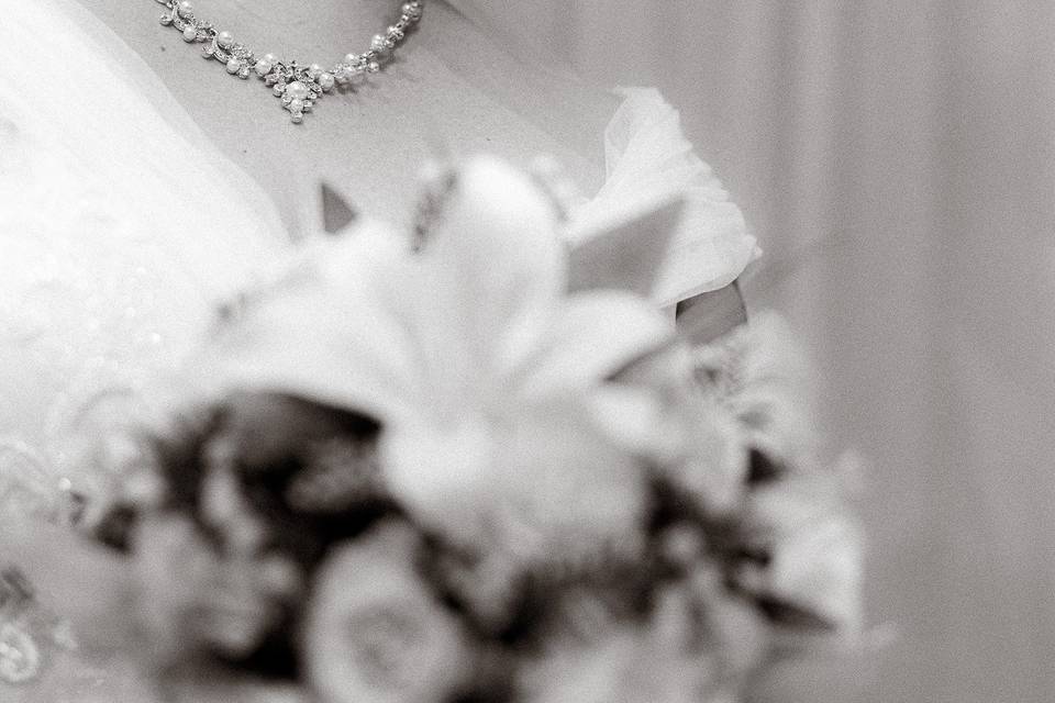 Fotografo de Casamento