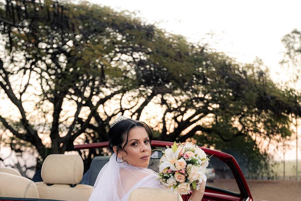 Fotografo de Casamento