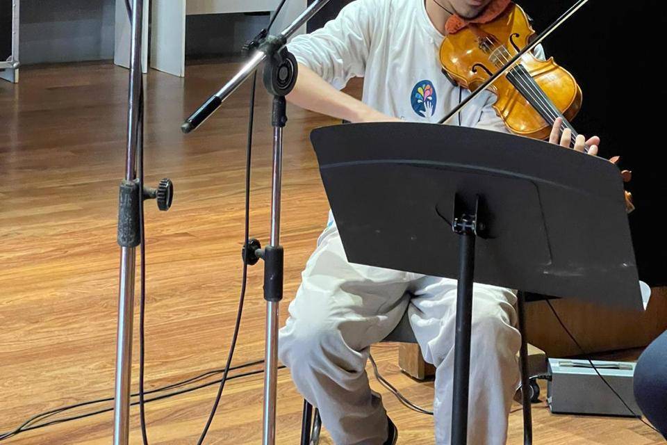 Carneiro Violino