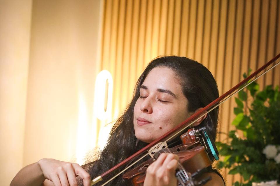 Violinista para Casamentos