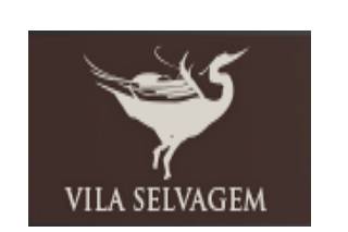 Hotel Vila Selvagem logo