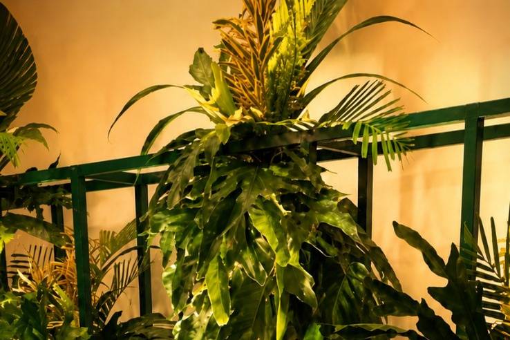 RB Eventos e Decorações