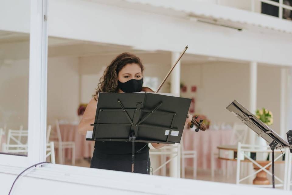 Violinista Tocando