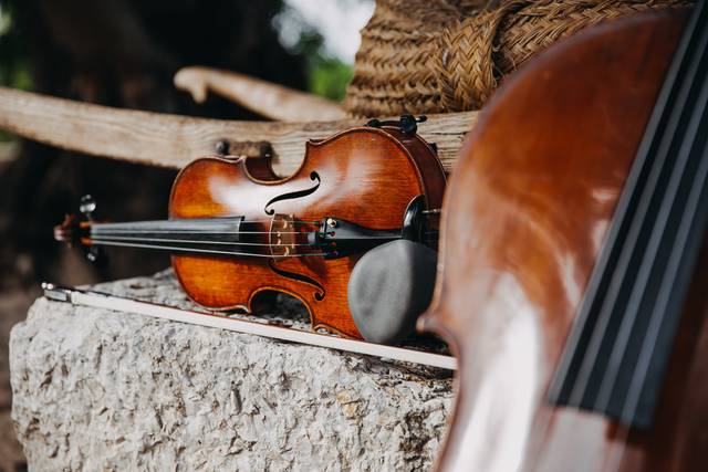 Violino e violoncelo