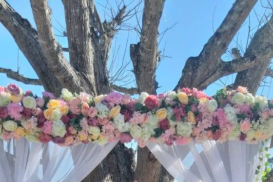 Casamento de Bailarina