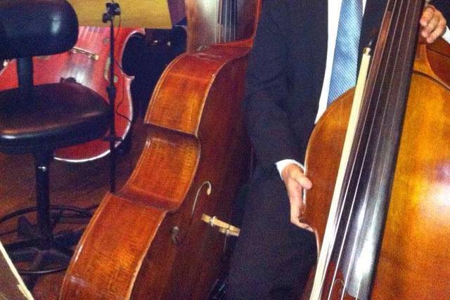 Musicale fratelli