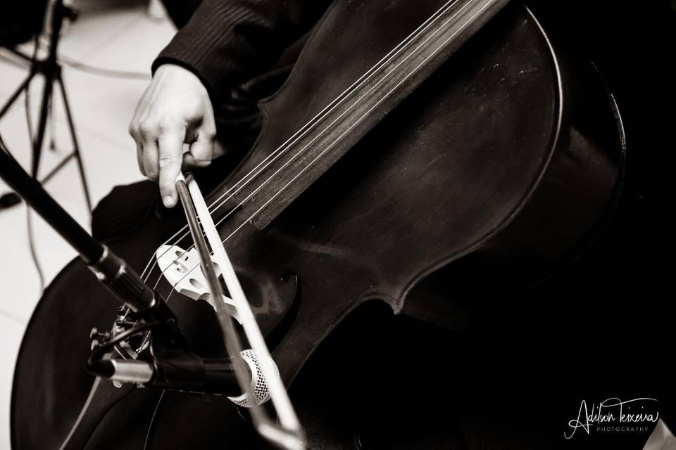 Cello