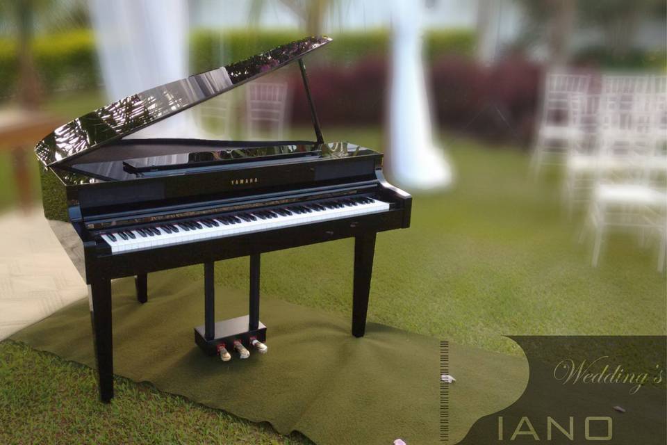 Wedding's Piano