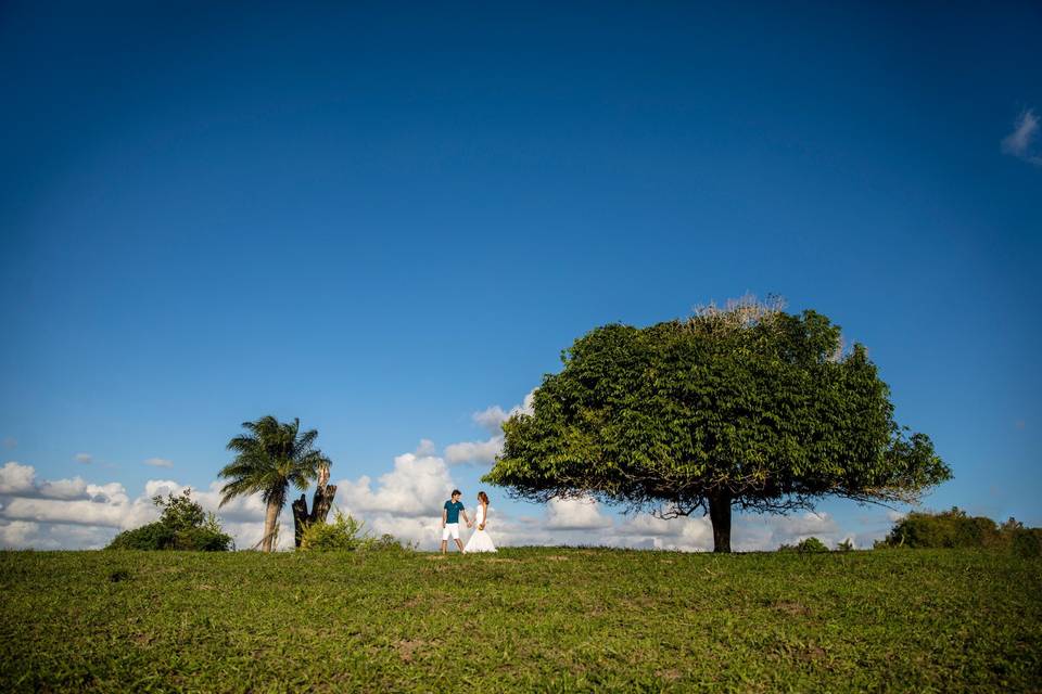 Alexandre Magalhães Fotografia