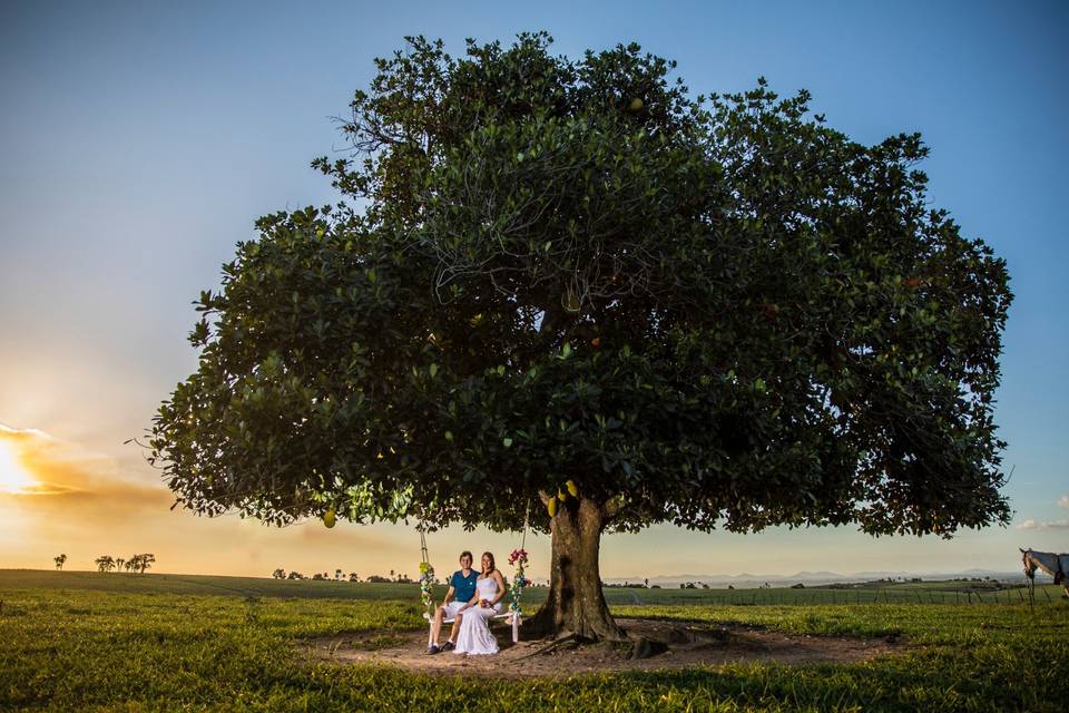 Alexandre Magalhães Fotografia