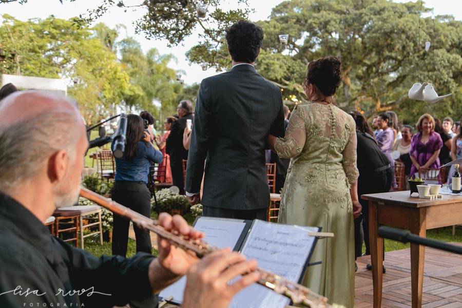 Cordas, voz e violão