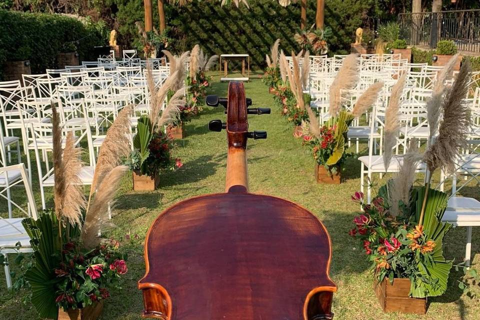 Violão Cello