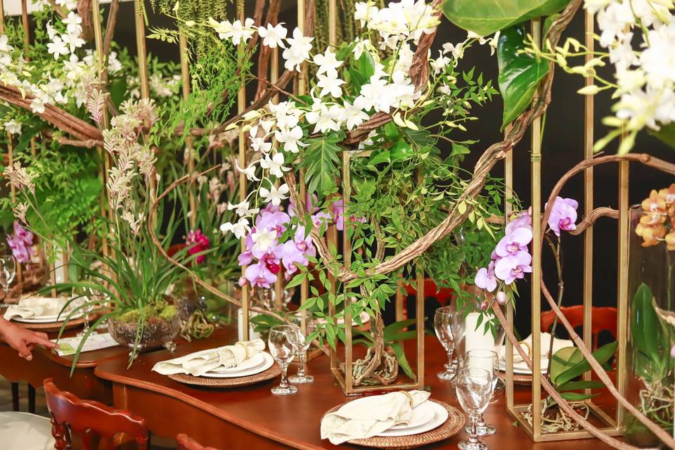 Orquídeas mesa comunitária