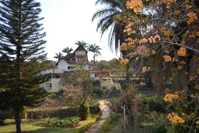 Buganvile
