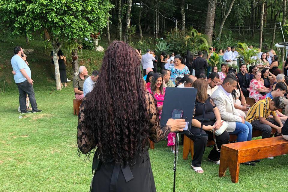 Glaucy violinista