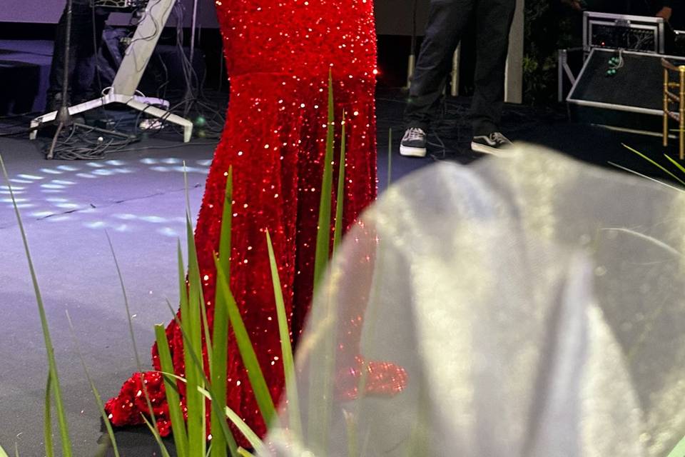 Celebrando o amor!