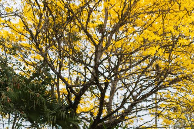 Não é só um vestido, é uma historia.