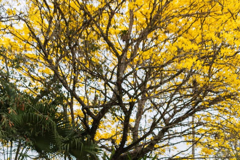 Não é só um vestido, é uma historia.