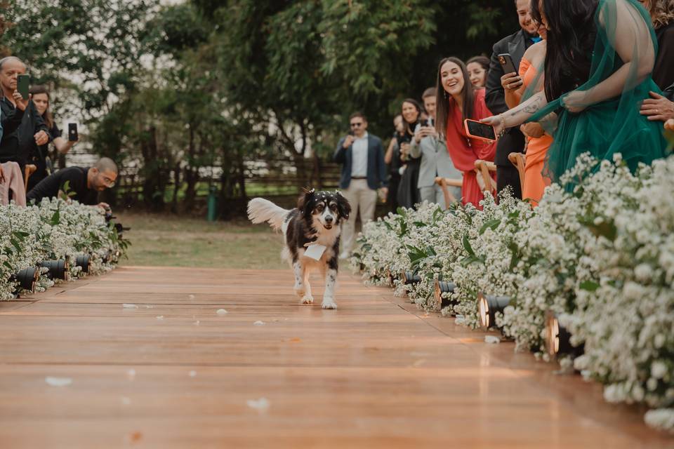 Casamento ao ar Livre