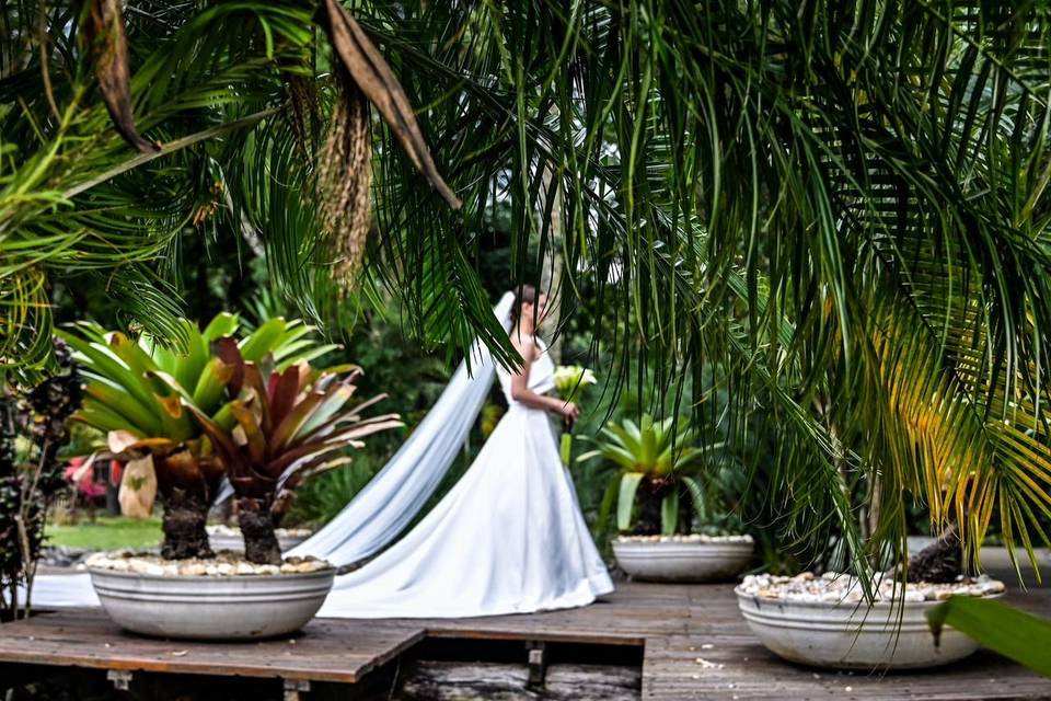 Casamento-Quinta da Cantareira