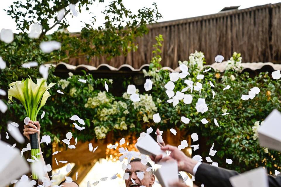 Casamento-Quinta da Cantareira