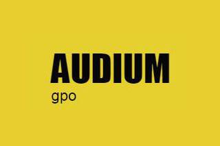 Grupo Audium