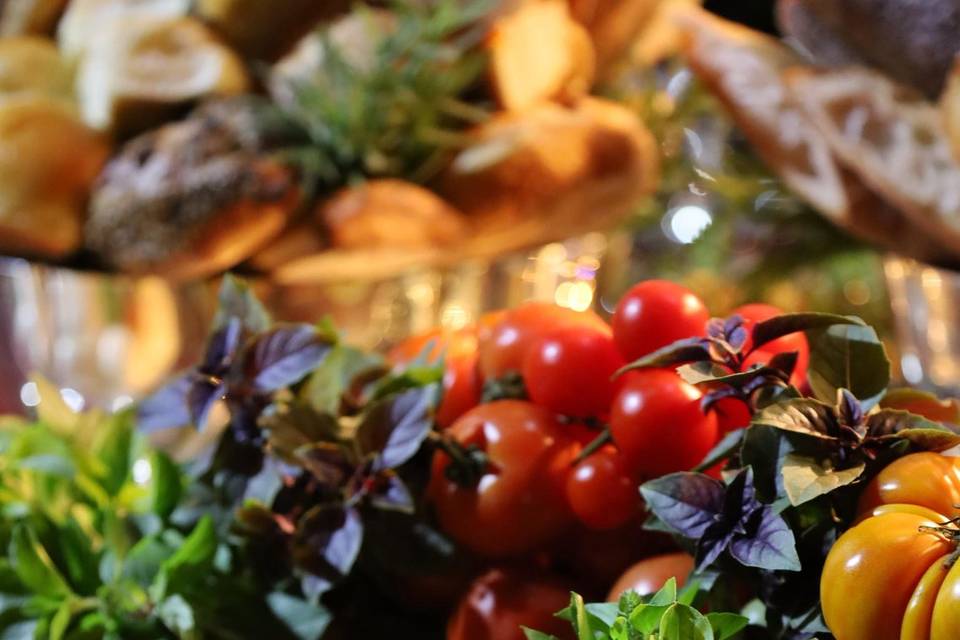 Tomates selvagens
