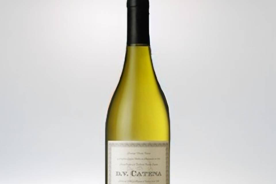 DV Catena Chardonnay