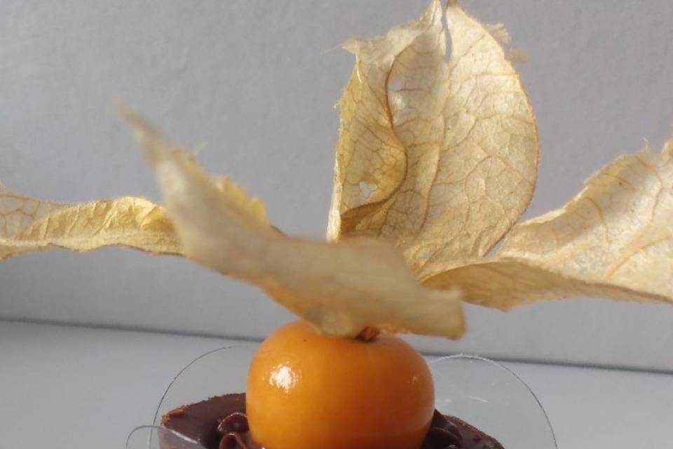 Copinho Physalis