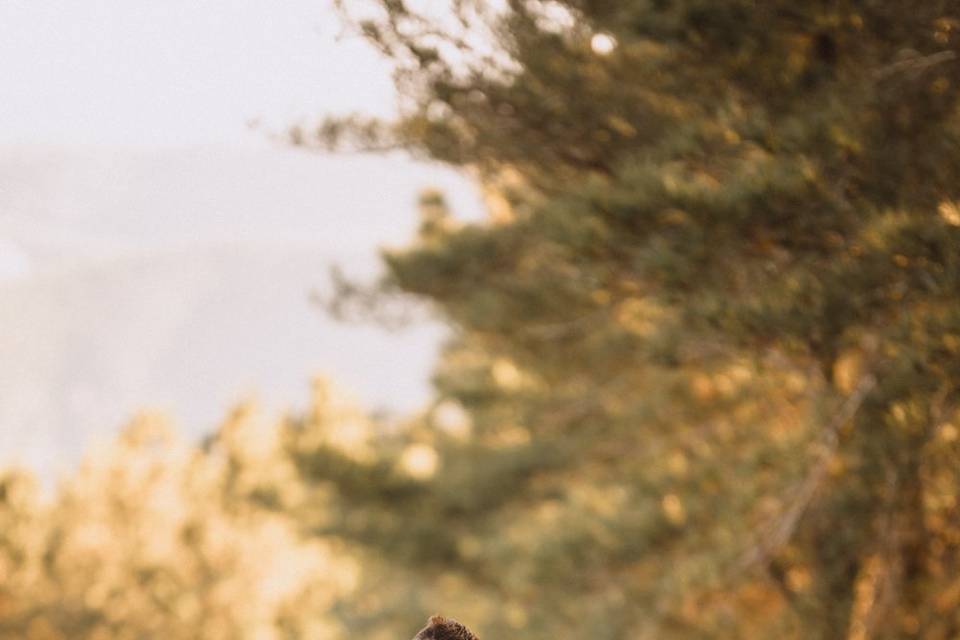 Pré Wedding