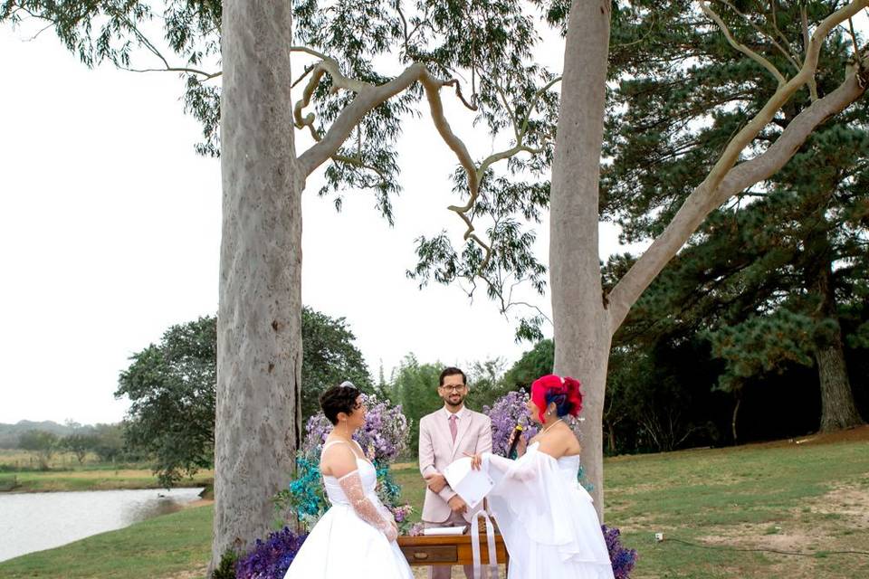 Casamento Entre Iguais