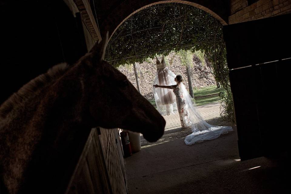 Casamento ao ar livre