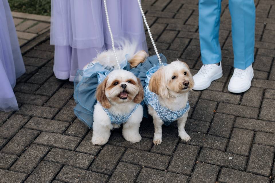 Casamento