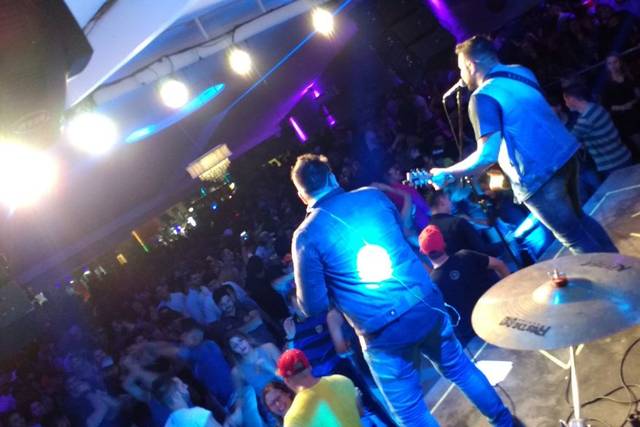 Shows