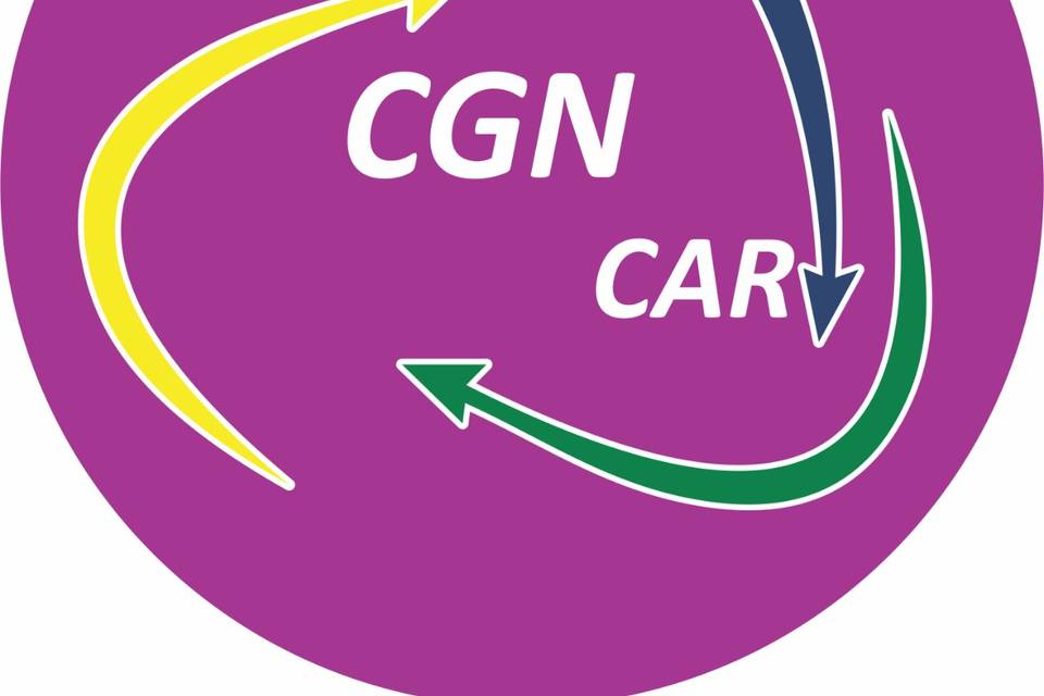 Cgncar transporte executivo