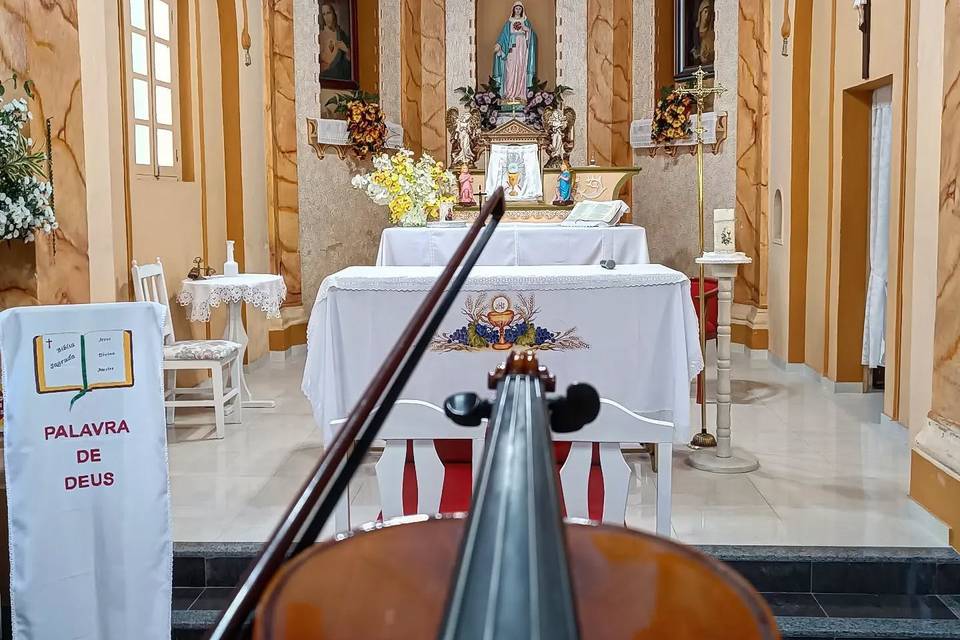 Violinista renomado