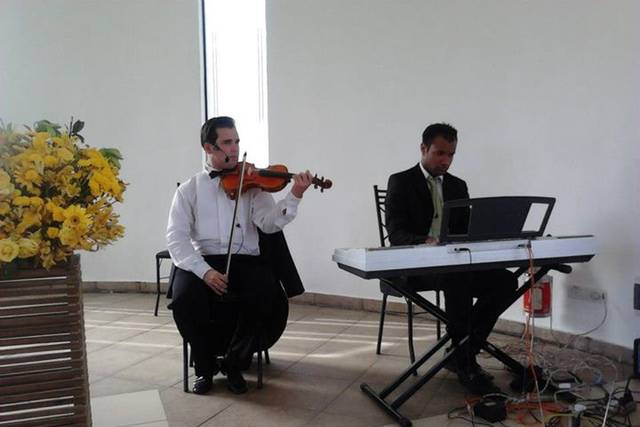 Fazendo Sala