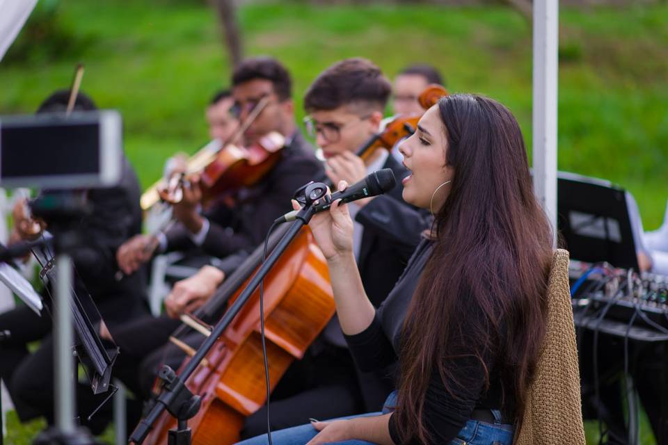 Voz e orquestra