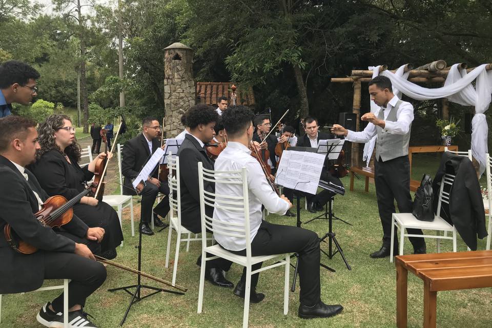 Orquestra de cordas