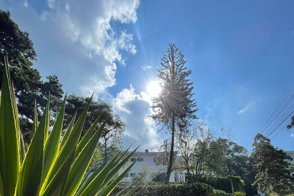 Externo