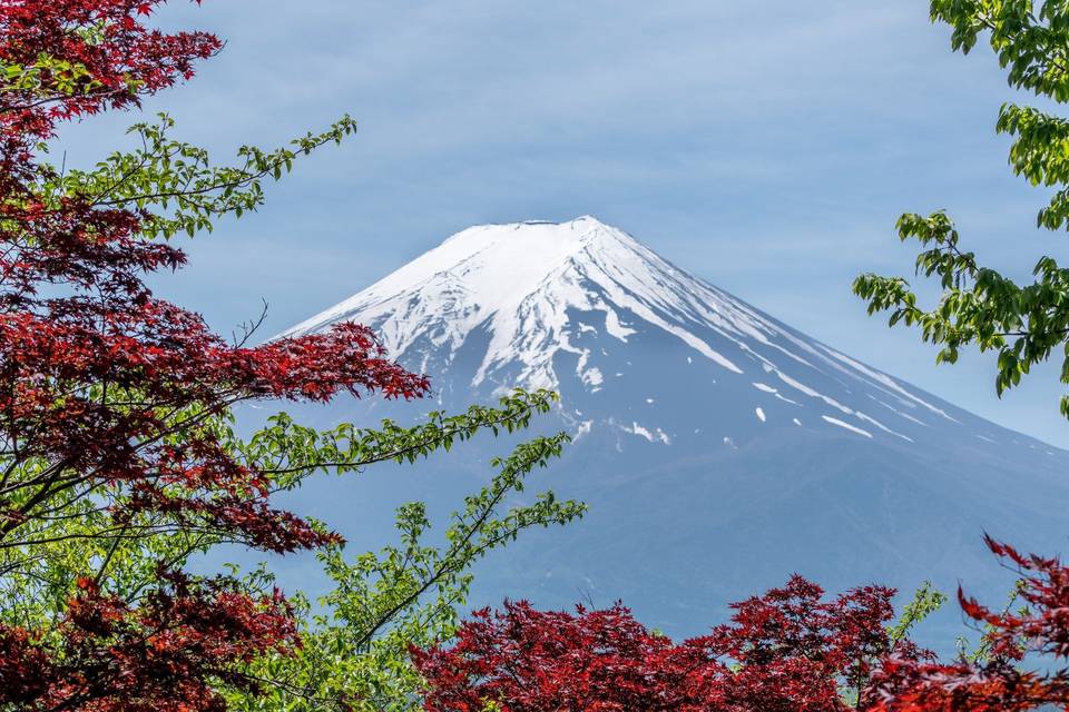 Lua de Mel no Japão