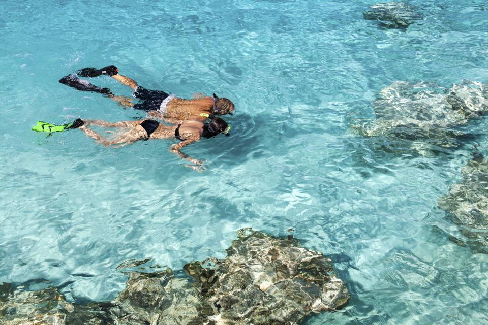 Snorkel com peixes