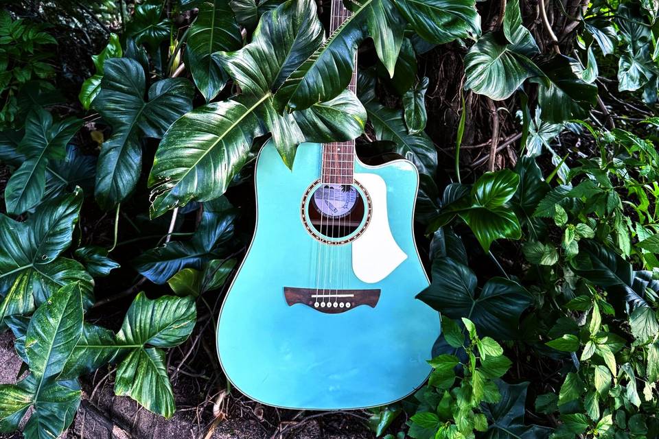 Violão e natureza