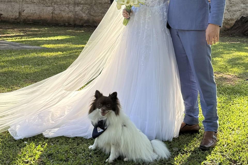 Pet family