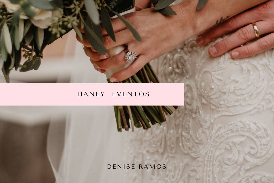 Haney eventos