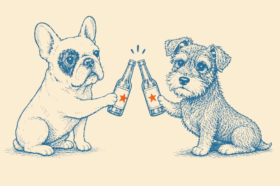 Ilustrações cachorros