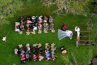HV Wedding