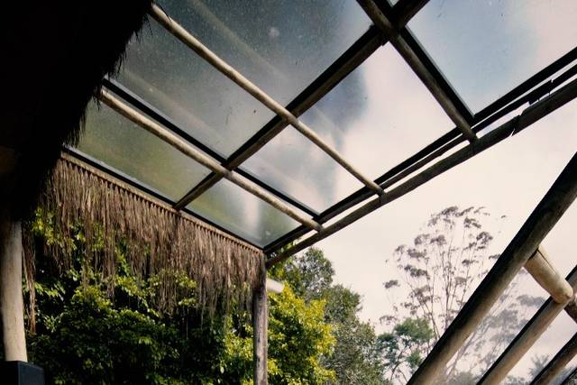 Música de qualidade