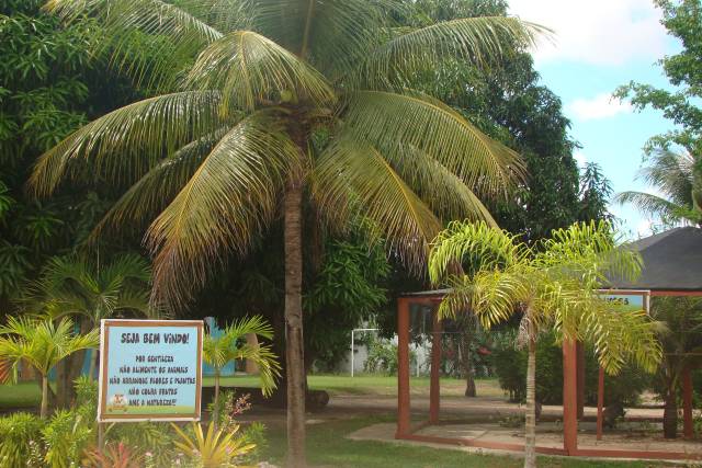 Áreas de jardin