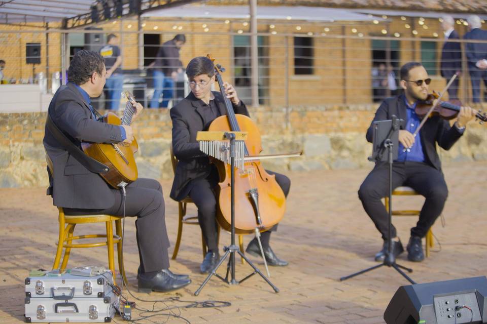 Trio - Violino, violão e cello